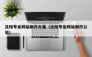 巢湖沈阳专业网站制作方案（沈阳专业网站制作公司）